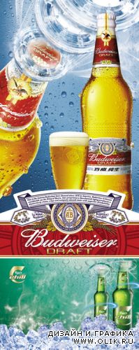 PSD Templates - Beer Advertising