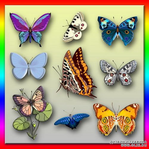 Clipart - Бабочки и мотыльки / Butterflies