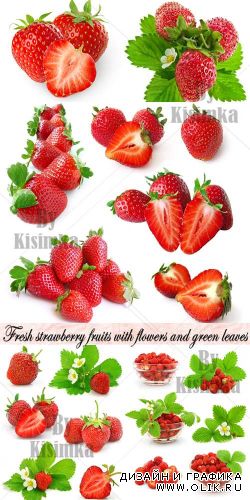 Fresh strawberry fruits with flowers and green leaves