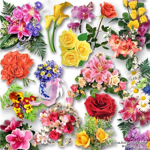 Цветочный клипарт / Clipart - Flowers