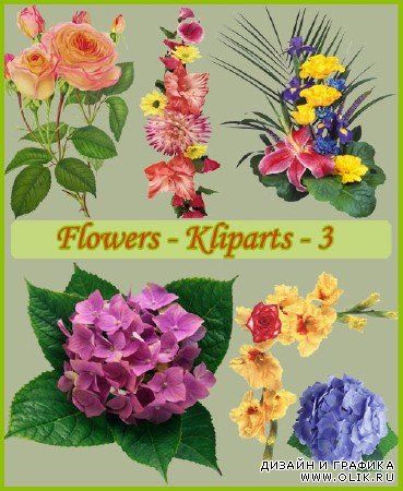 Klipart - Flowers