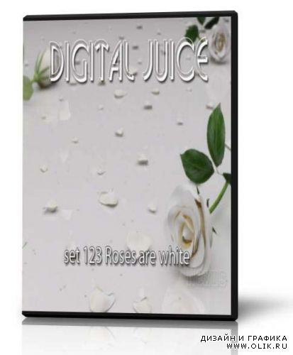 Digital juice - set 123 Roses are white (SD)