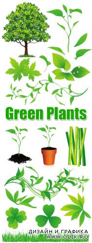 Green Plants Vector