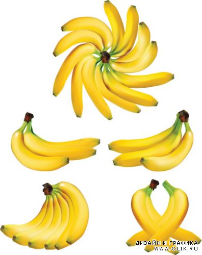 Бананы в векторе
