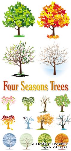 Four Seasons Trees Vector