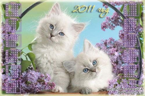Календарь на 2011 год с котятами