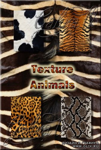 Texture - Animals