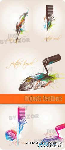 Objects feathers