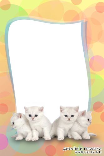Рамка с котятами