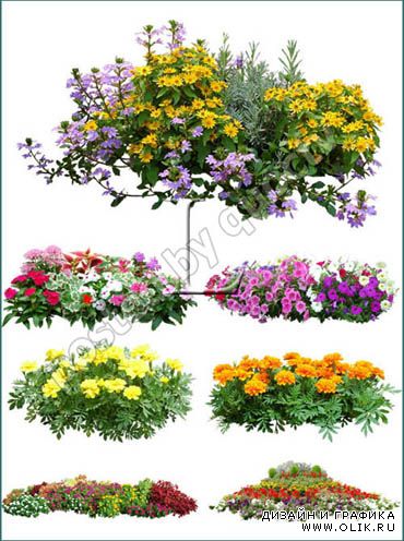 Шаблоны для PHSP - Цветы и Растения