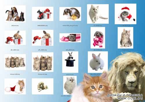 Клипарт Животные