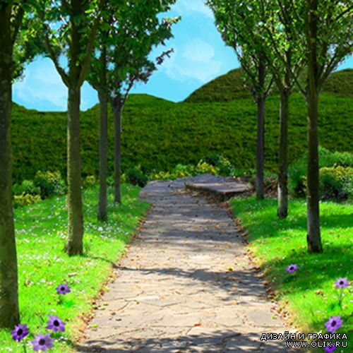 Фоны для фотошопа -Креатив8