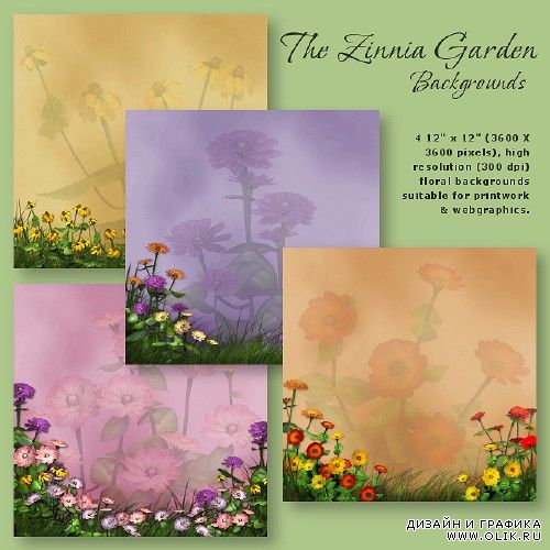 Цветочные фоны - Цветочный сад - Zinnia Garden Backgrounds