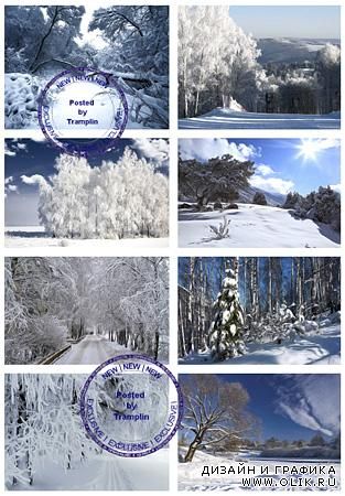 Зимние Пейзажи | Winter landscapes