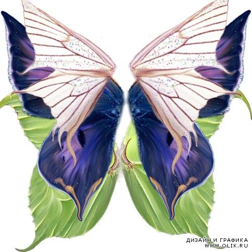 крылья бабочки  в psd