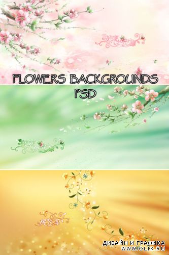 Flowers backgrounds PSD
