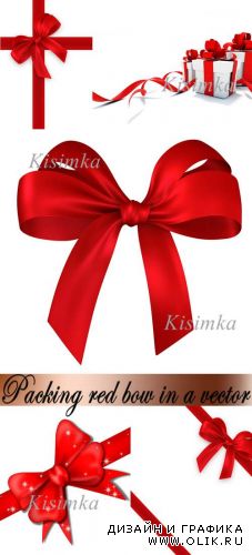 Packing red bow in a vector