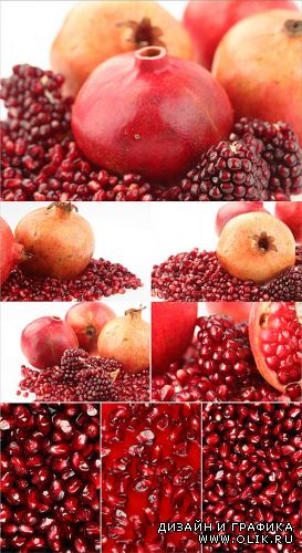 Pomegranates l Гранаты