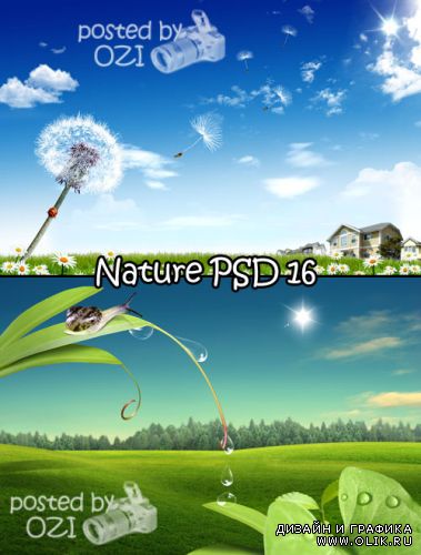 Nature PSD 16