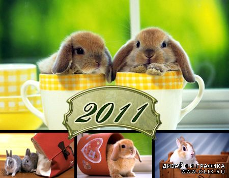 клипарт "кролики" символ 2011года