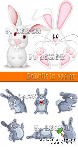 Rabbits in vector