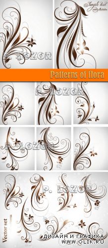 Patterns of flora
