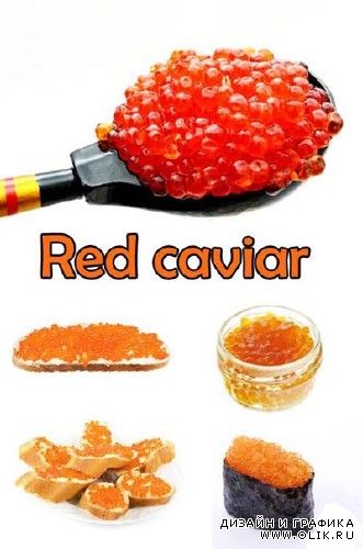 Red caviar clipart