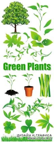 Green Plants Vector - 2