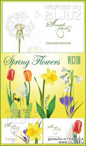 Spring Flowers Vector
