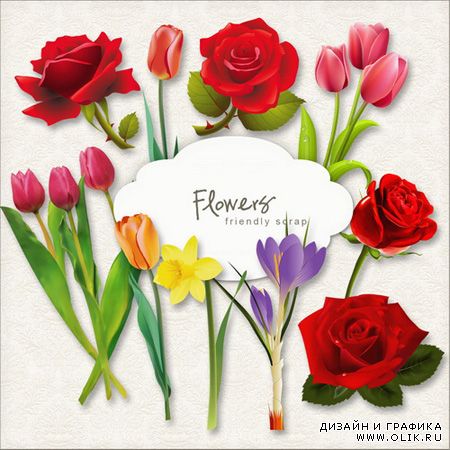 Clipart - Flower Collection
