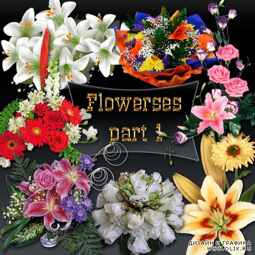 Flowerses part 1