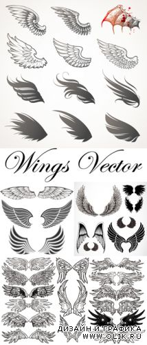 Wings Vector | Крылья