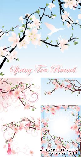 Spring Tree Branches Vector