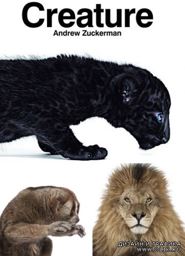 Фотограф Andrew Zuckerman. Книга 