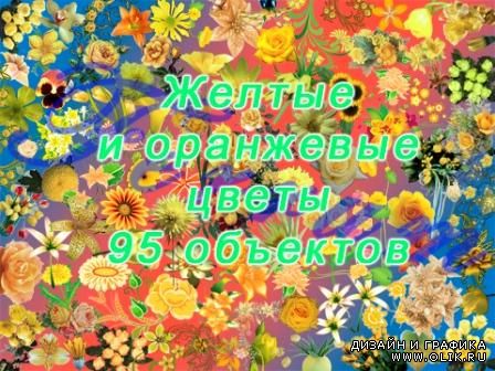 Клипарт цветы 