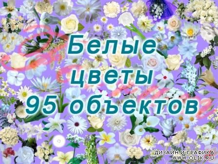 Клипарт цветы 