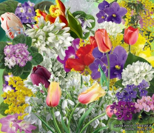 PNG клипарт – Цветущая весна
