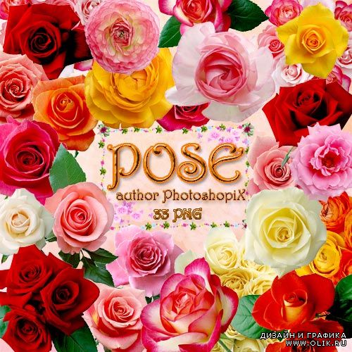 Скрап набор для PHSP – Розы / Rose