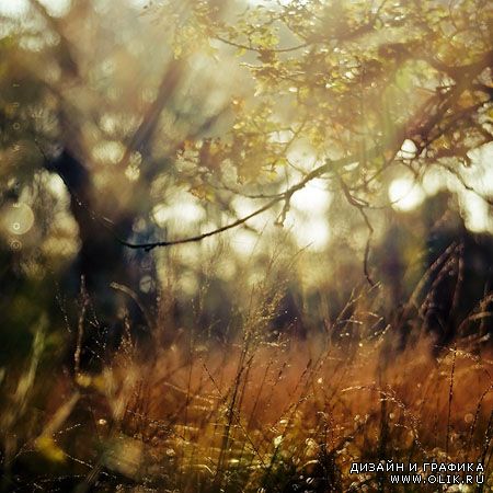 Красивые весенние фотографии окружающей среды