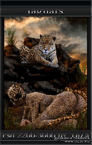 Jaguars - Ягуары - женский шаблон