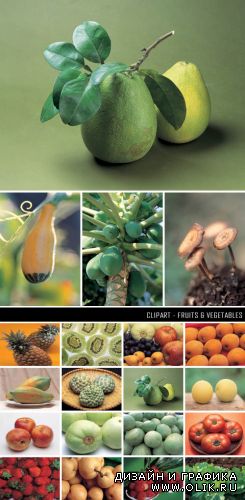 Clipart - Fruits & Vegetables
