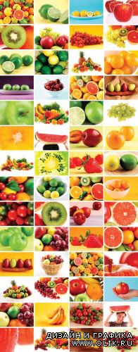 Clipart - Viva Fruits
