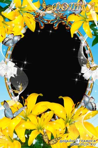 Цветочная рамка для фотошоп - Жёлтые лилии и бабочки