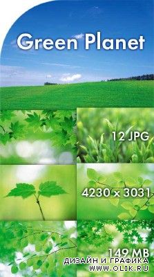 Растительные фоны - Зеленая Планета