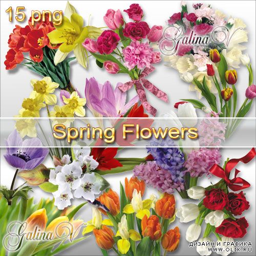 Клипарт PNG - Цветы Весны
