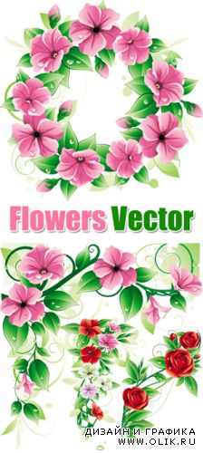 Beautiful Flowers Vector | Красивые цветы в векторе