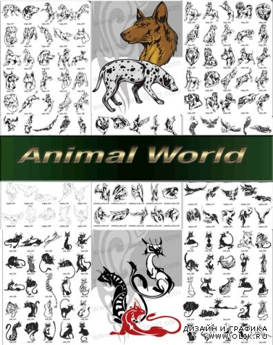 Мир животных