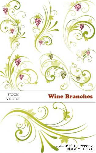 Vectors - Wine Branches  | Виноградные ветви