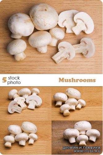 Растровый клипарт - Mushrooms