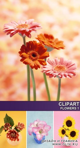 Clipart - Flowers 1